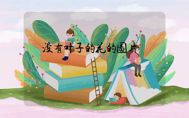  没有叶子的花的图片